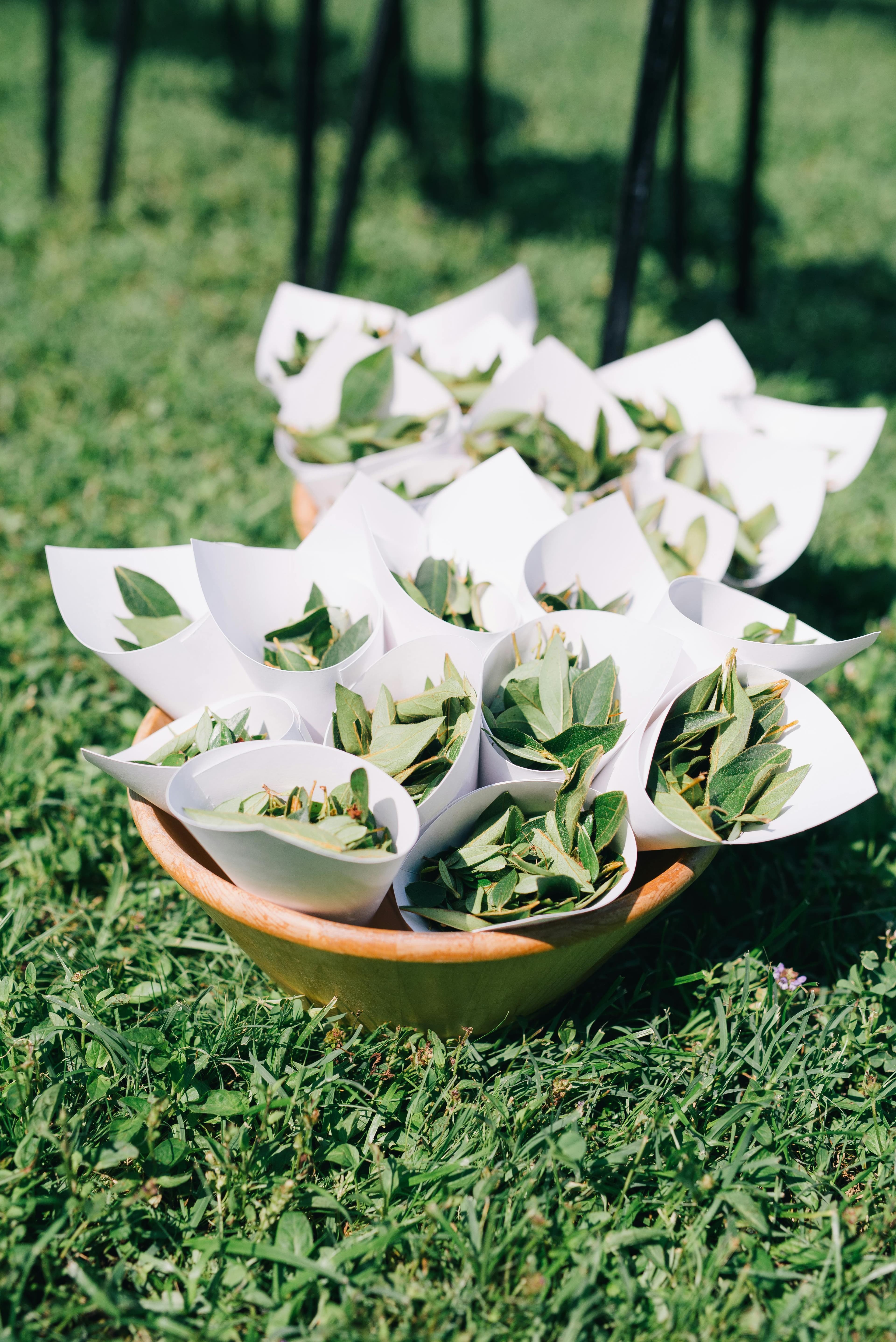 Zero Plastic Events